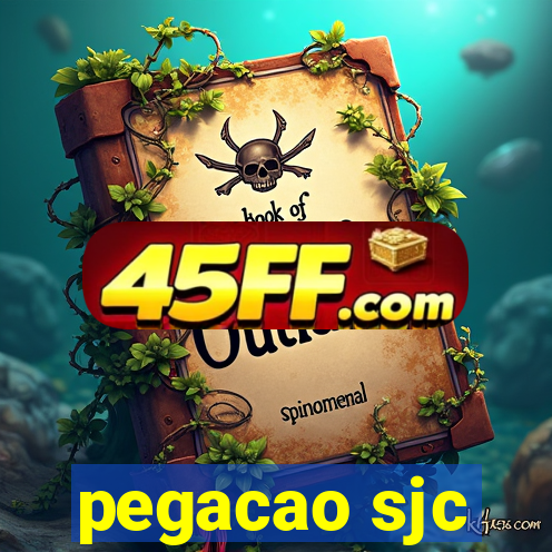 pegacao sjc